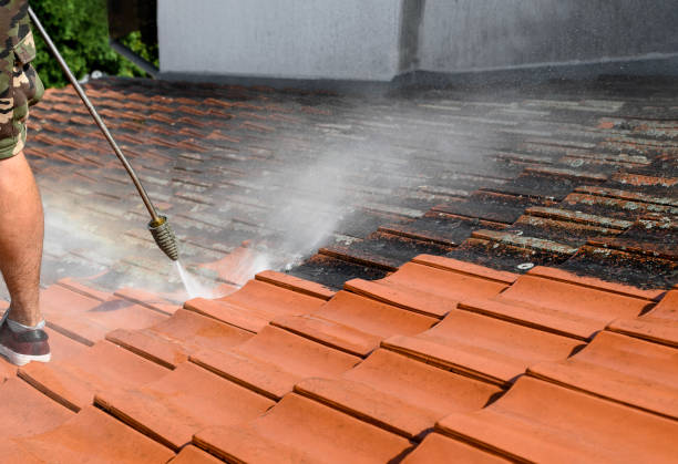 Best Roof Pressure Washing  in Monona, WI